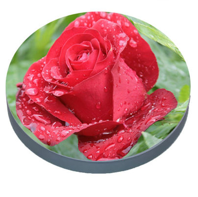 P2.5 Circle Full Color Led Display Round Screen Flexible Video Wall Panel